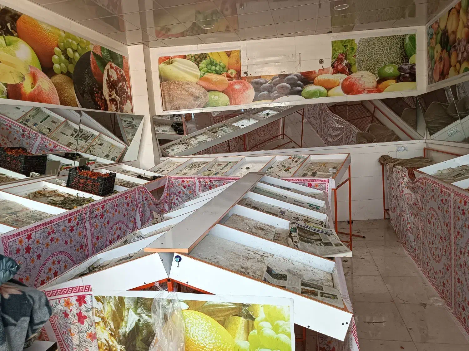 قفسه میوه ترابری|فروشگاه و مغازه|جم, |دیوار