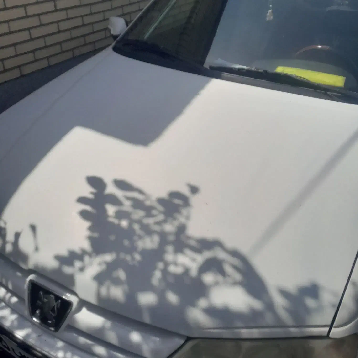 فروش پژو پارس ۸۸|خودرو سواری و وانت|بندرعباس, |دیوار