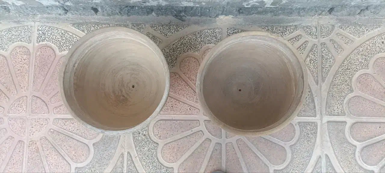 گلدان سفالی بزرگ|گل و گیاه طبیعی|سرپل ذهاب, |دیوار