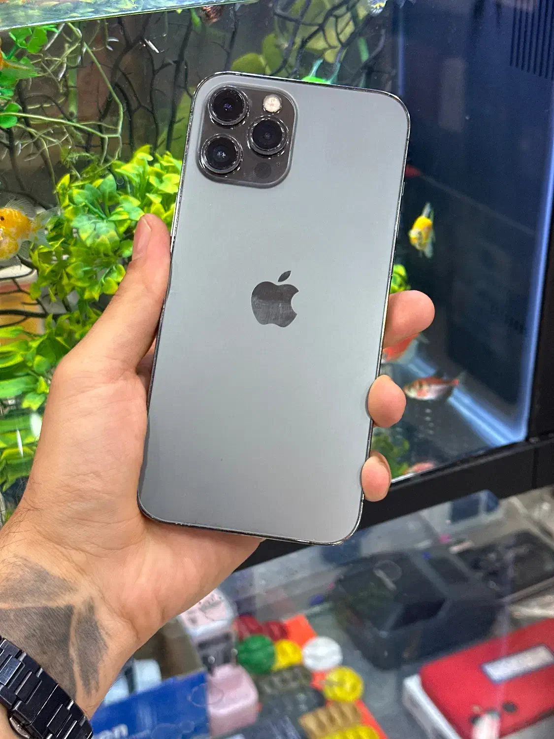 12pro max|موبایل|شیراز, زند|دیوار