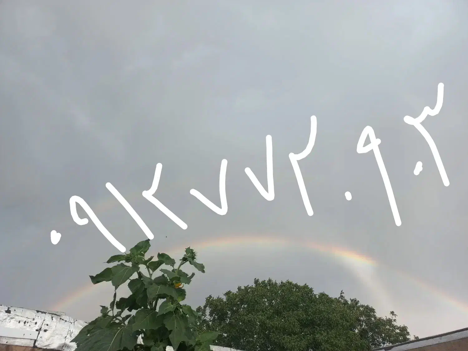 سیم کارت ۹۱۲|سیمکارت|خرمدره, |دیوار