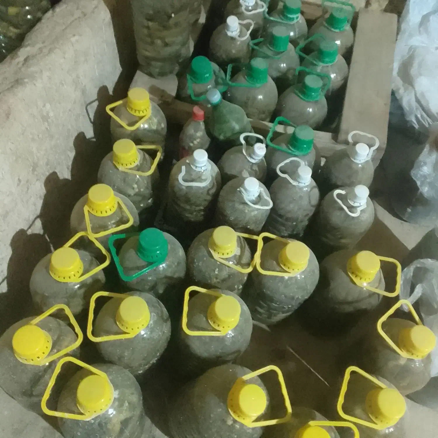 خیار شور|خوردنی و آشامیدنی|سردرود, |دیوار