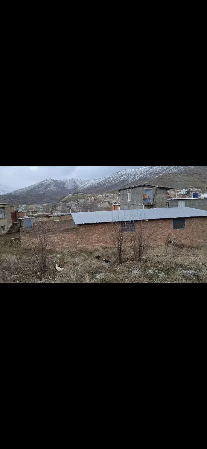 دامداری ۱۰۰ راسی روستایی|فروش زمین و ملک کلنگی|خاو و میرآباد, |دیوار