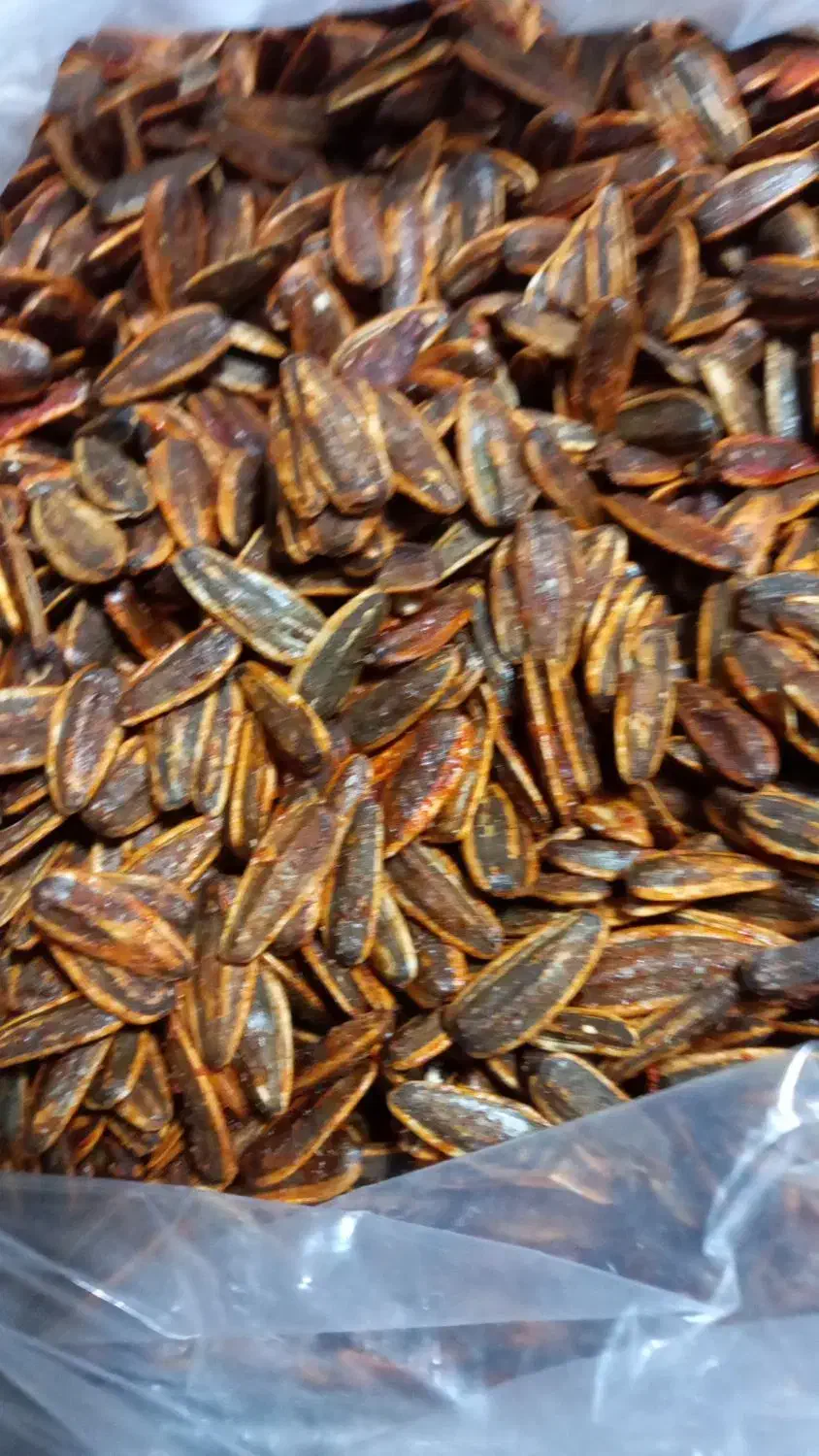 تخمه کدو آوشینی|خوردنی و آشامیدنی|شیراز, پودنک|دیوار