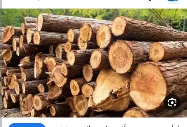 خرید انواع چوب|خدمات باغبانی و درختکاری|جعفرآباد, |دیوار