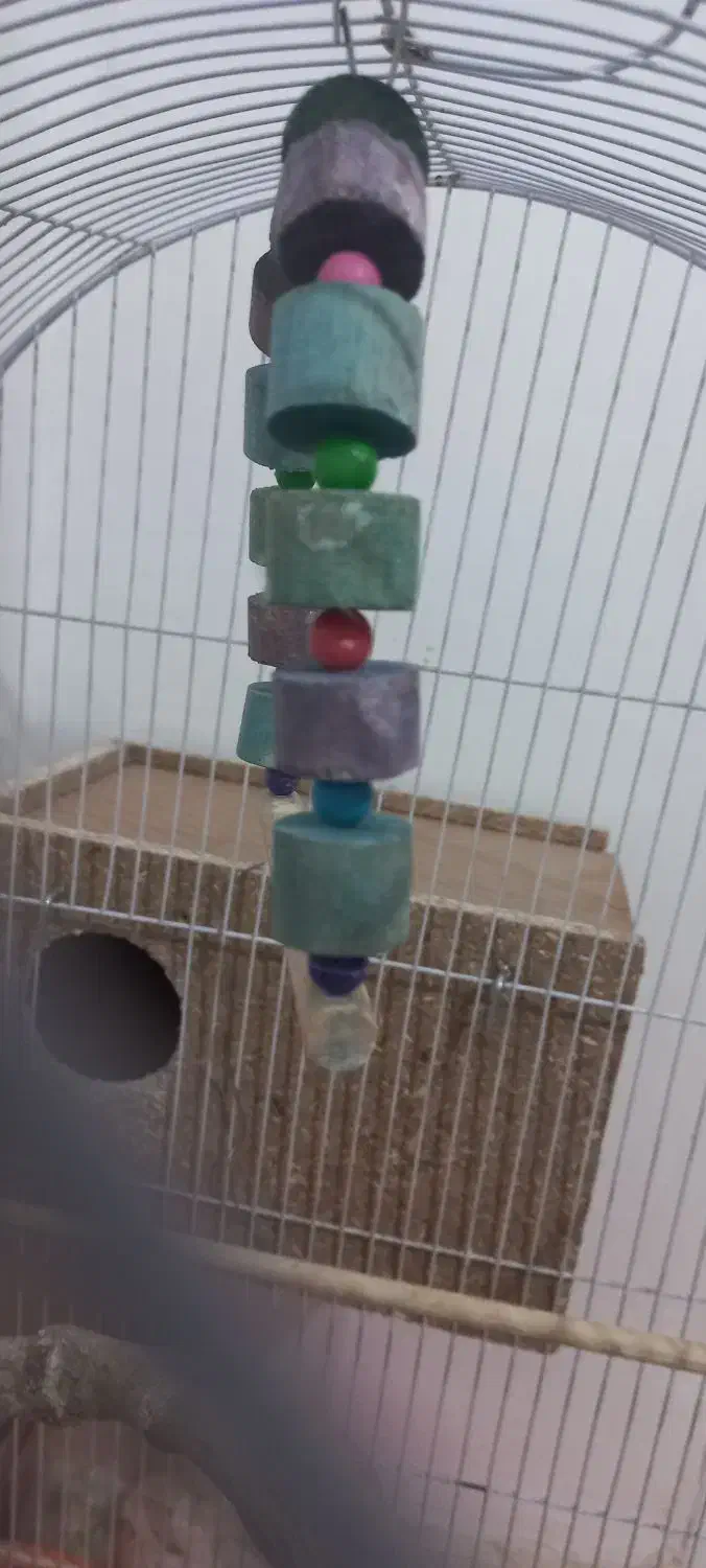 قفس|لوازم جانبی حیوانات|محمدیه-قزوین, |دیوار