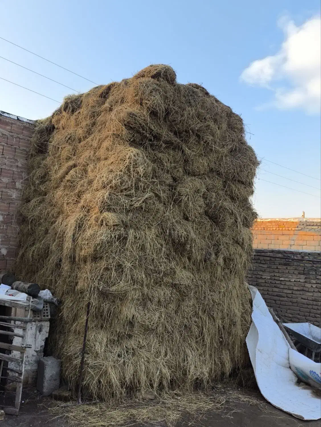 یونجه|لوازم جانبی حیوانات|فیرورق, |دیوار