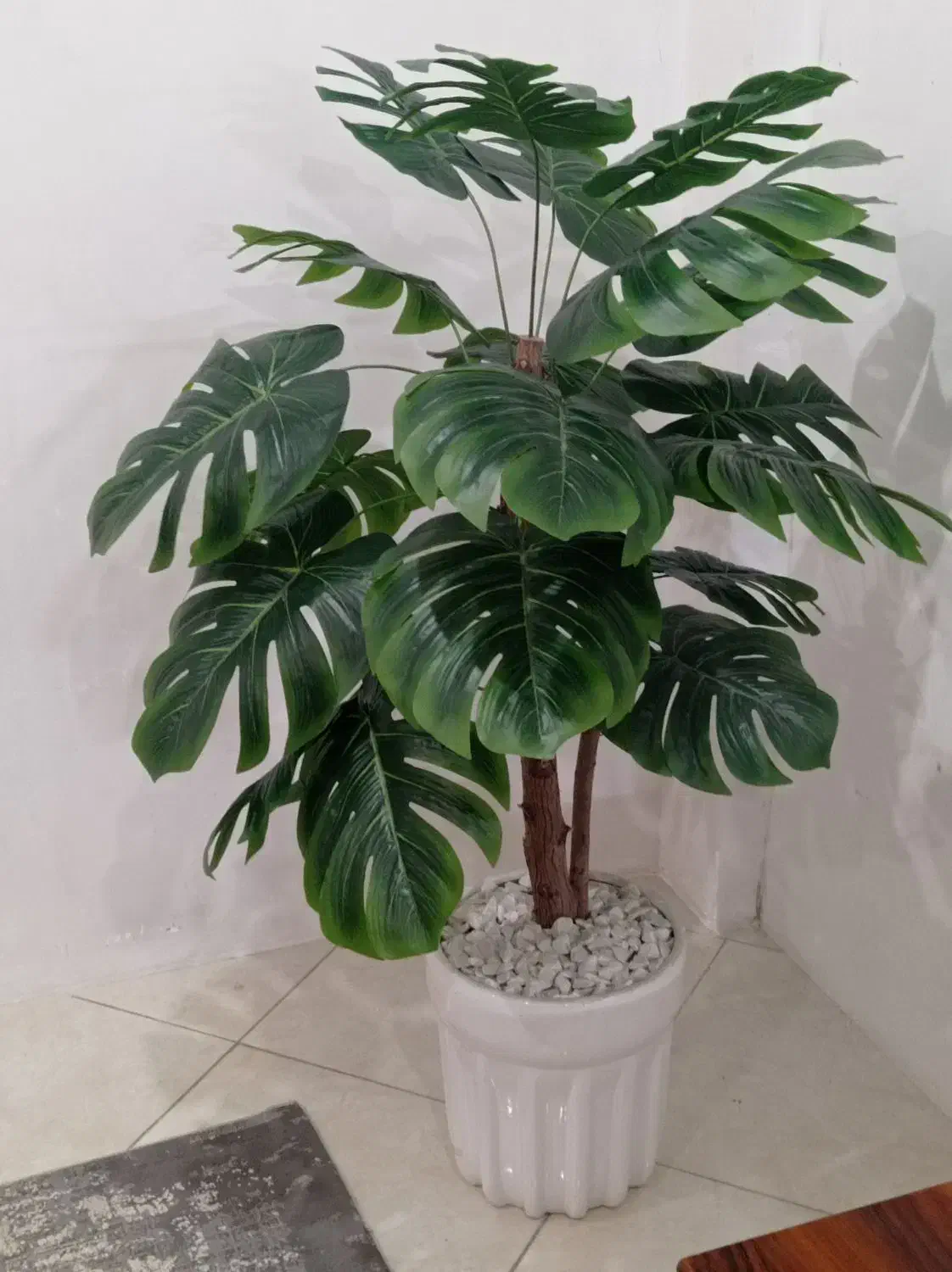 درختچه برگ انجیری|گل مصنوعی|اهواز, کوی باهنر|دیوار