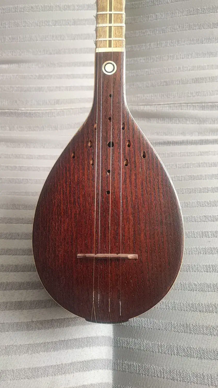 سه تار حرفهای استاد رفیعمحمودی|سازهای سنتی|تبریز, |دیوار