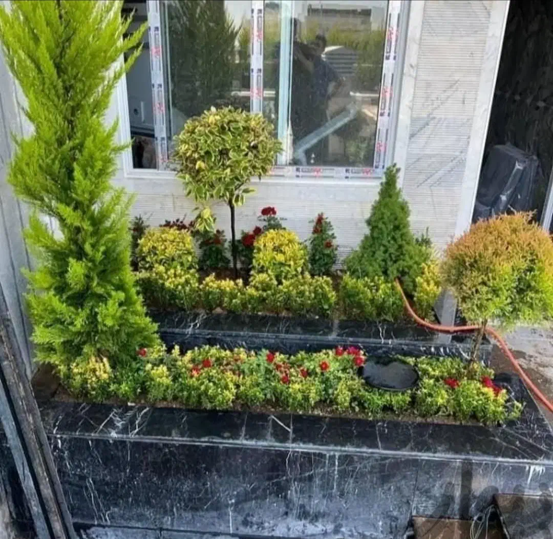 خدمات باغبانی باغچه کاری کاشت گل تعویض خاک گلدون|خدمات باغبانی و درختکاری|تهران, تهرانپارس شرقی|دیوار