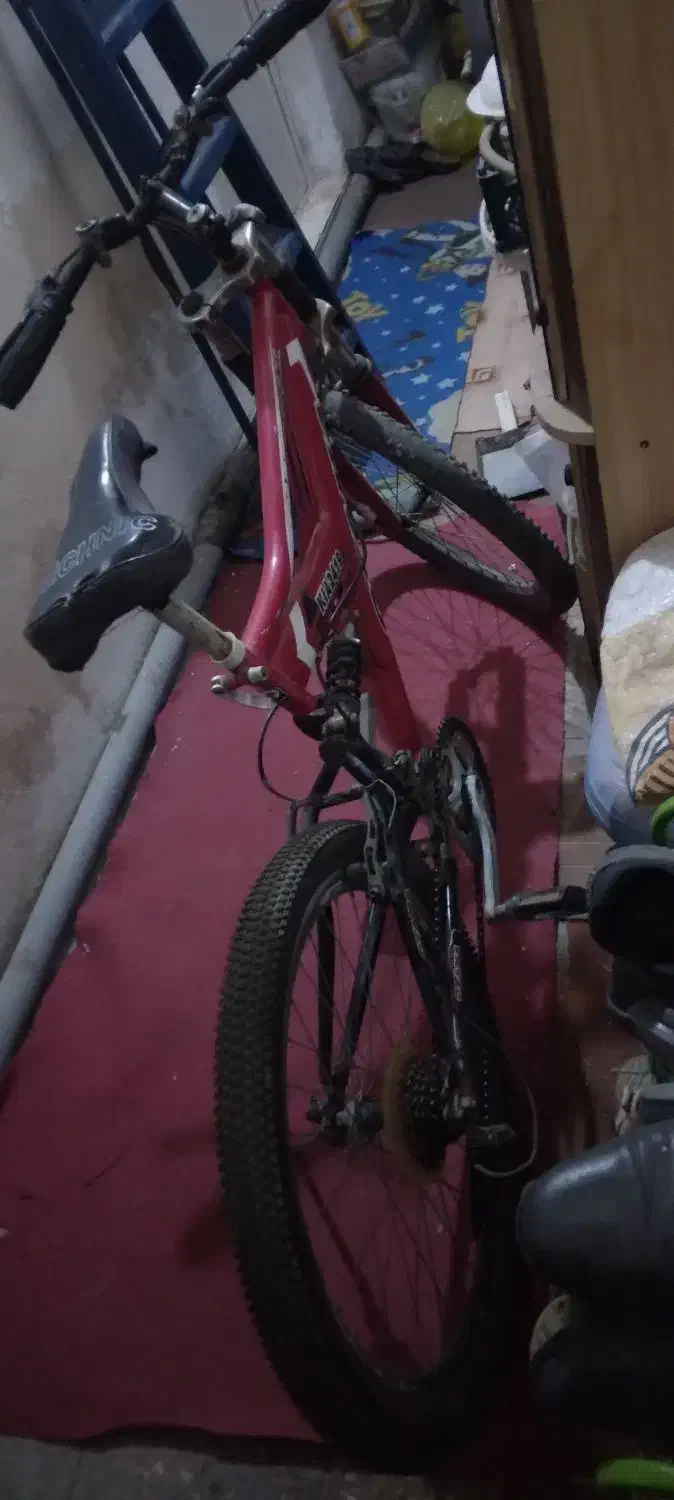 دوچرخه 24|دوچرخه، اسکیت، اسکوتر|بوشهر, |دیوار