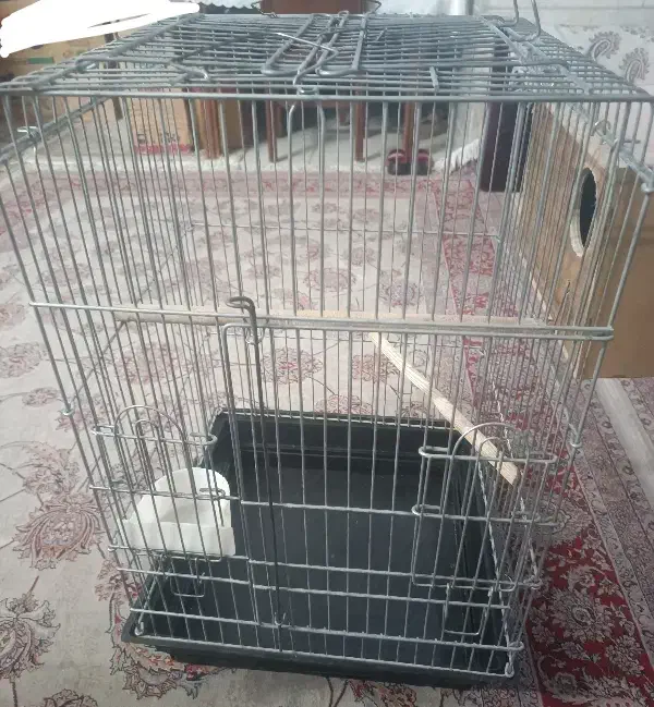 قفس عروس هلندی|لوازم جانبی حیوانات|تهران, تهرانسر مرکزی|دیوار