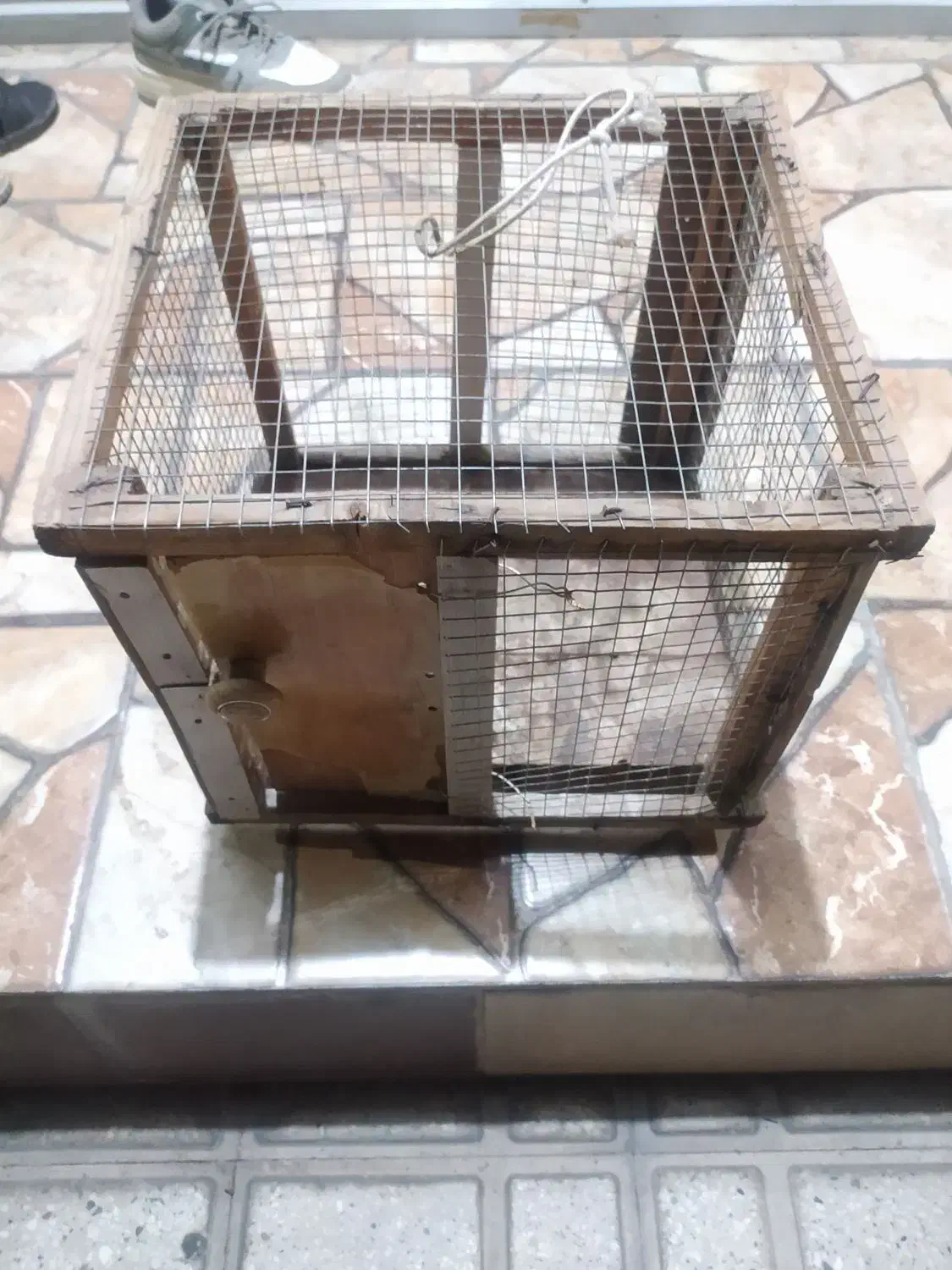 قفس پرنده|لوازم جانبی حیوانات|جهرم, |دیوار