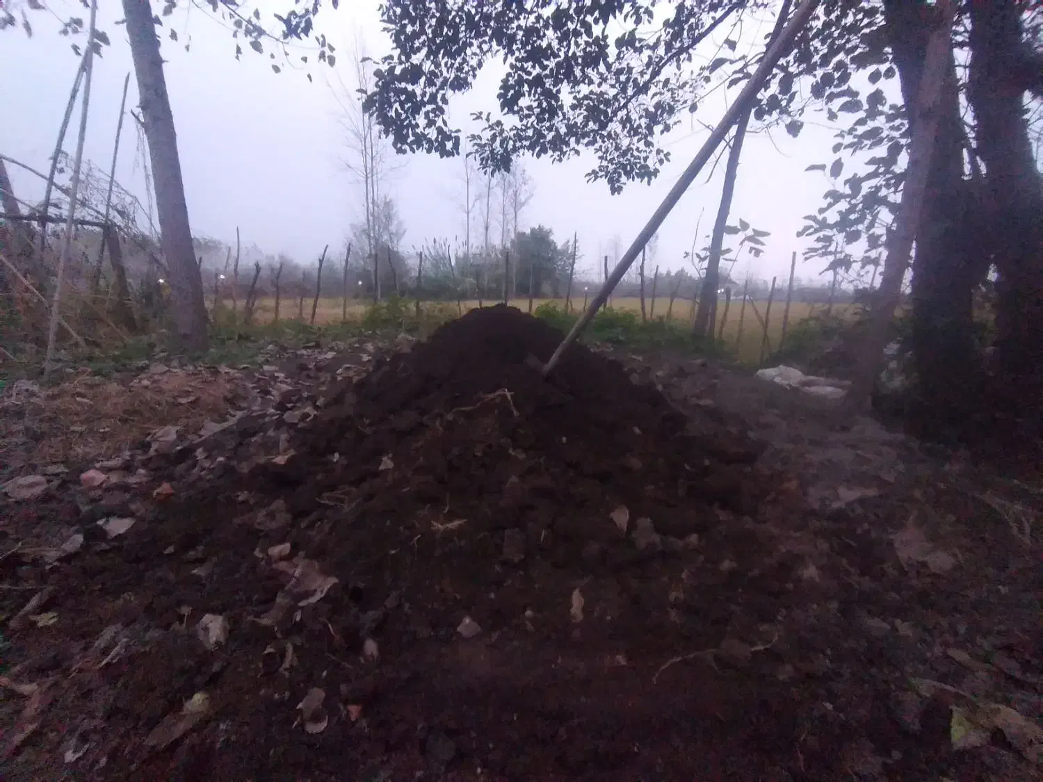 کود،چرم گاوی|خدمات باغبانی و درختکاری|صومعه‌سرا, |دیوار