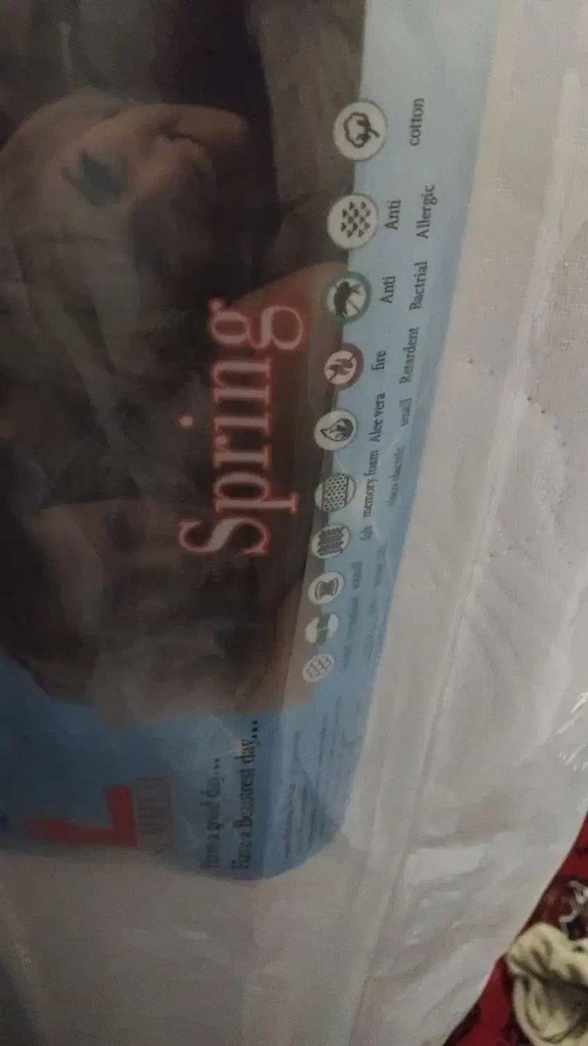 ت ش ک تمیز|تخت و سرویس خواب|گنبد کاووس, |دیوار