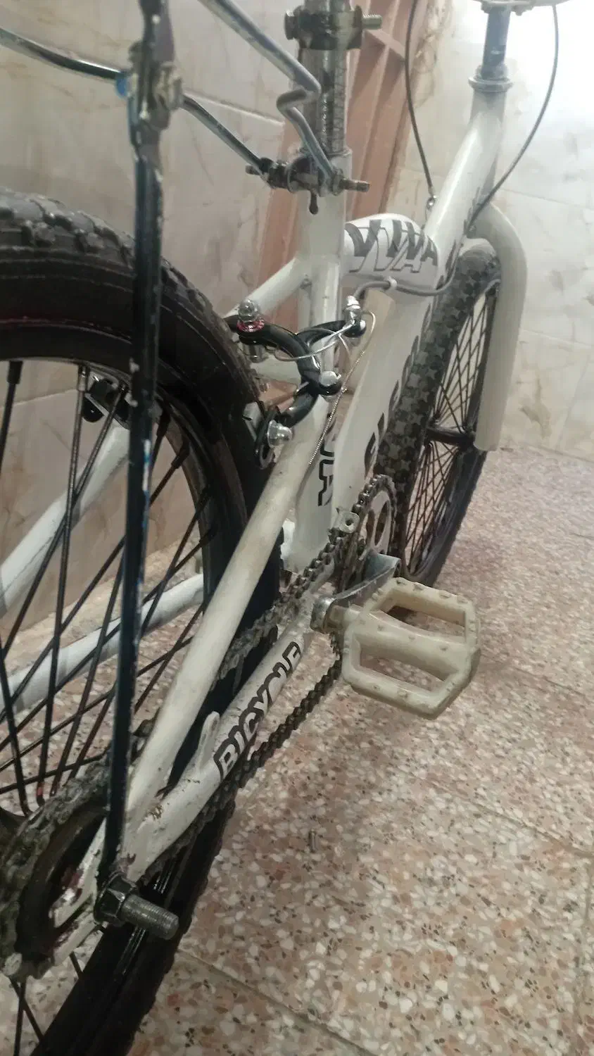 دوچرخه ۲۰|دوچرخه، اسکیت، اسکوتر|شیراز, شهرک مطهری|دیوار