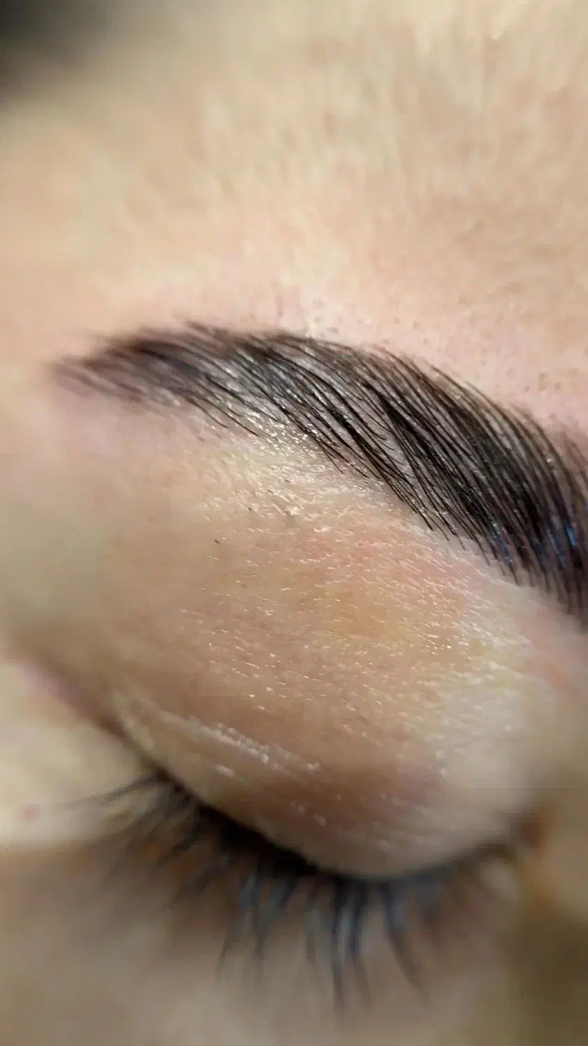 نیازمند مدل لیفت مژه اکستنشن مژه|خدمات آرایشگری و زیبایی|حمیدیا, |دیوار