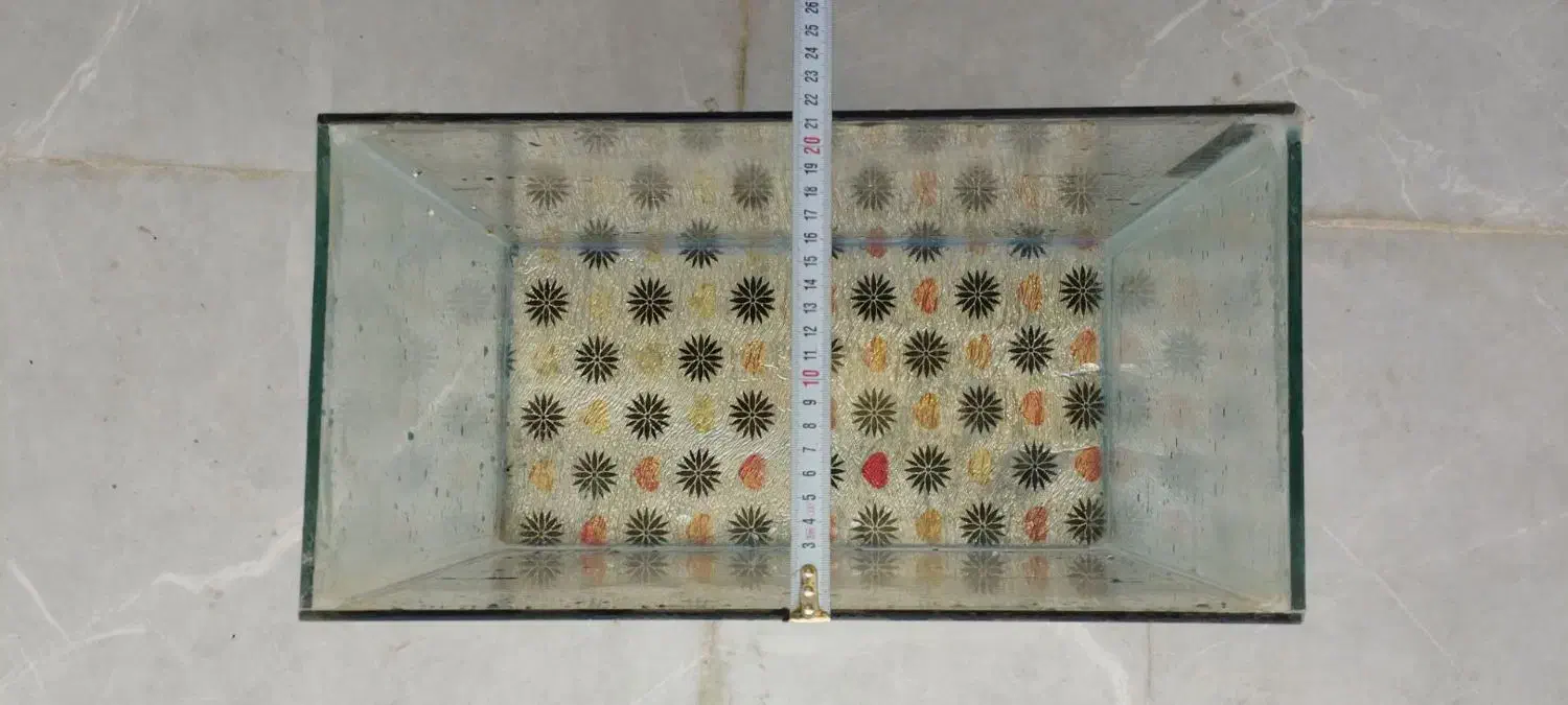 آکواریم نونو|ماهی|خزل, |دیوار