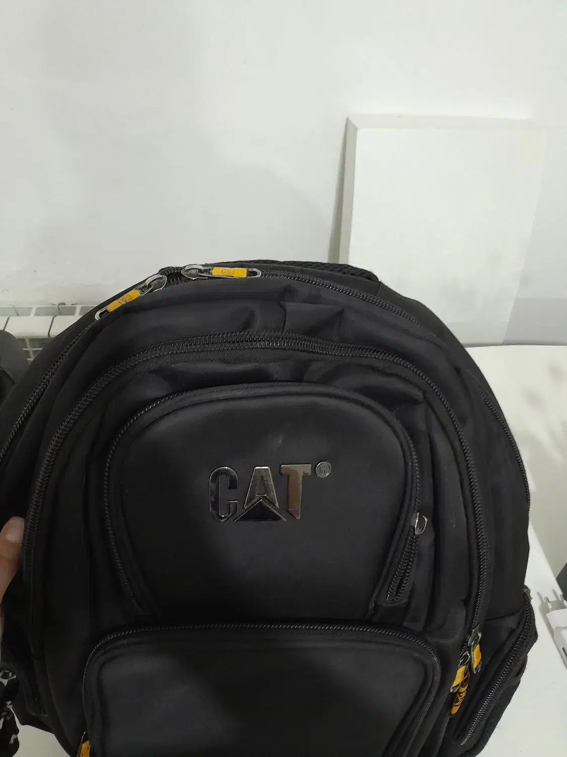 کیف نو|کیف، کفش، کمربند|شاهرود, |دیوار