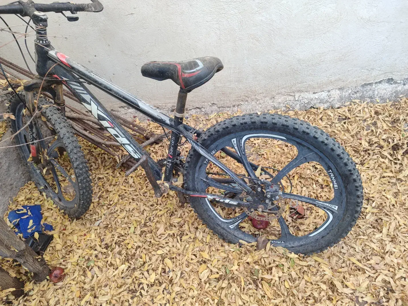 دوچرخه|دوچرخه، اسکیت، اسکوتر|خورش رستم, |دیوار