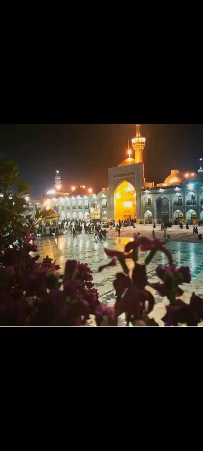 تور و چارتر|تور و چارتر|بناب, |دیوار