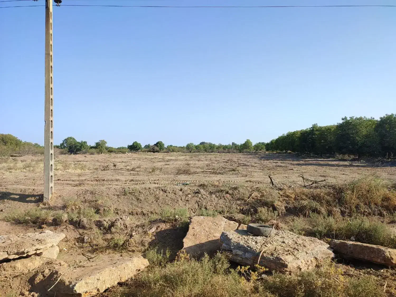 زمین زراعی|فروش دفتر صنعتی، کشاورزی، تجاری|اقبالیه, |دیوار