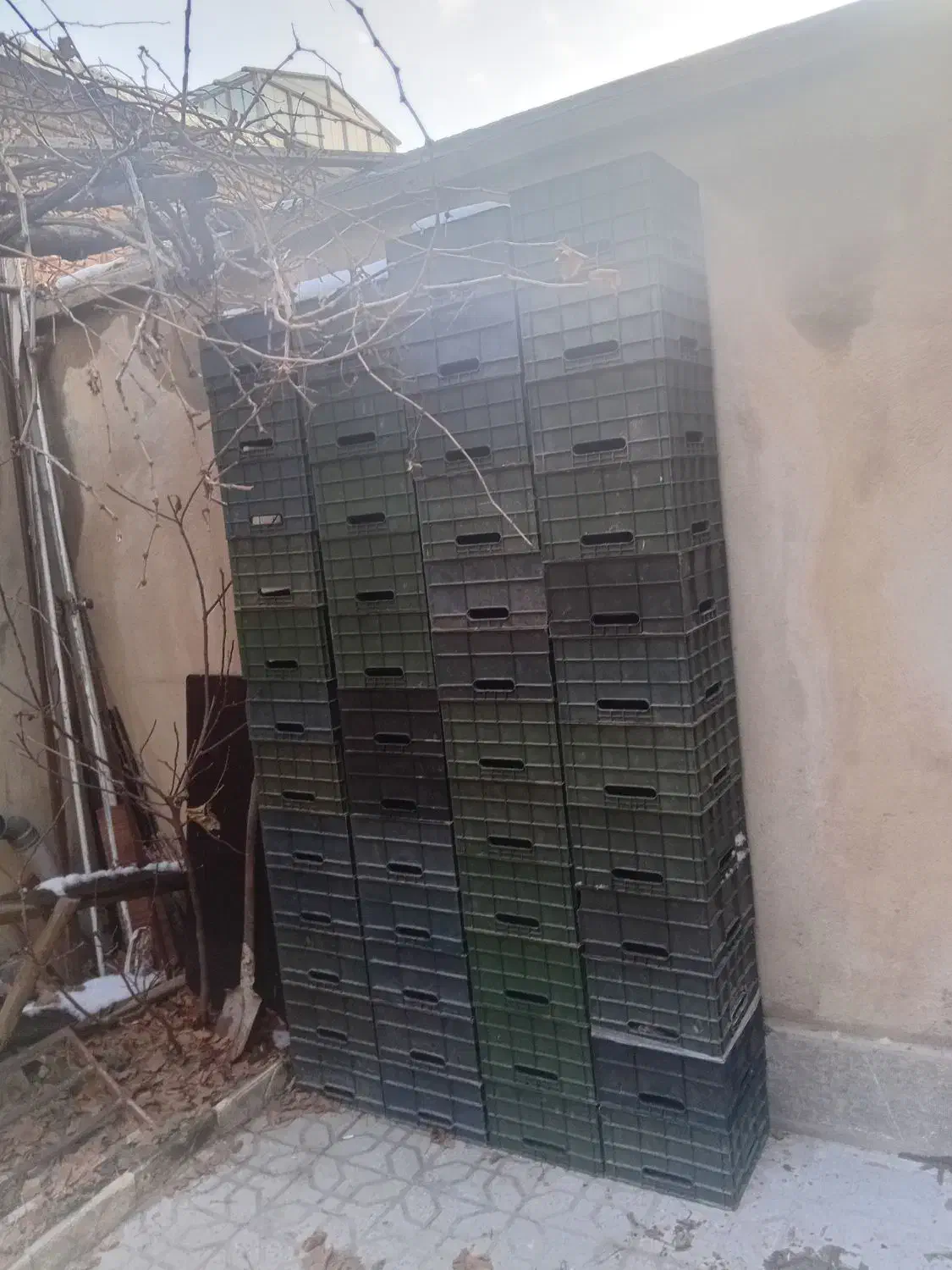 سبدشیر|ظروف نگهدارنده، پلاستیکی، یک‌بارمصرف|همدان, |دیوار