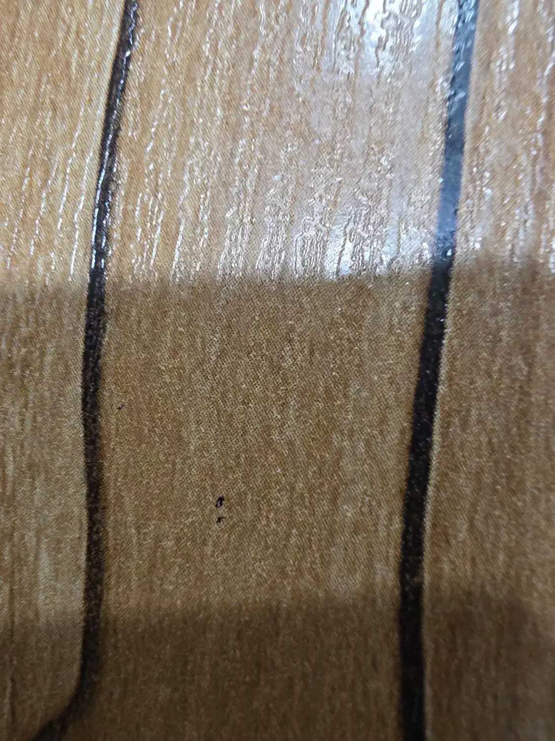 فروش زمین فاز ۴ پلک ۲۷|فروش زمین و ملک کلنگی|خورموج, |دیوار