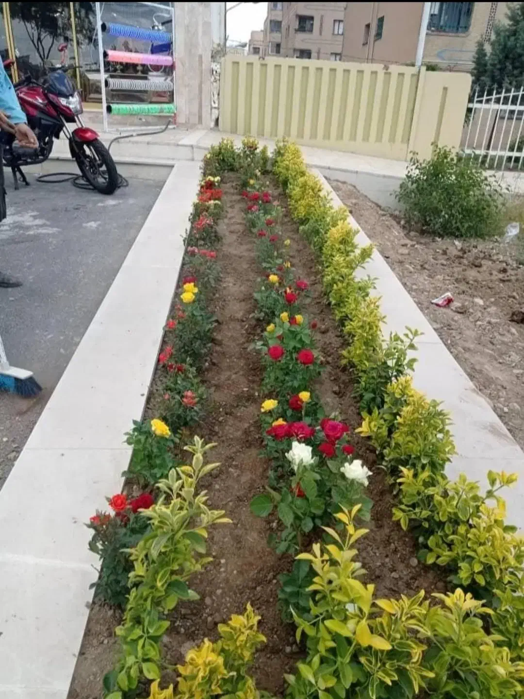 خدمات باغبانی باغچه کاری کاشت گل تعویض خاک گلدون|خدمات باغبانی و درختکاری|تهران, تهرانپارس شرقی|دیوار