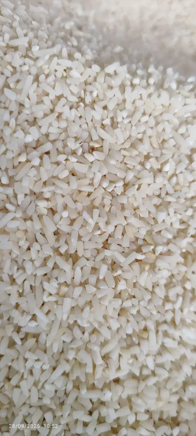 برنج محلی|خوردنی و آشامیدنی|کلاچای, |دیوار