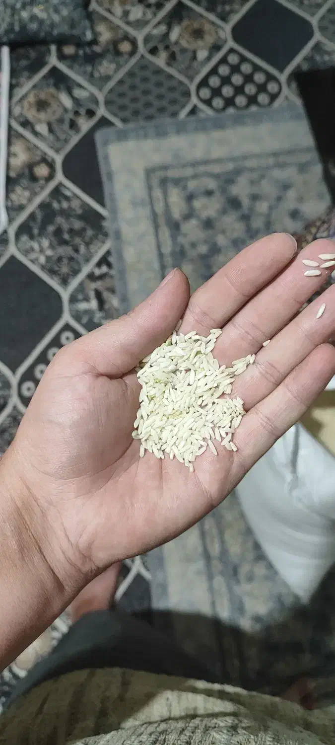 برنج محلی و چای نیم کیلوی فامیلا|خوردنی و آشامیدنی|بروجرد, |دیوار