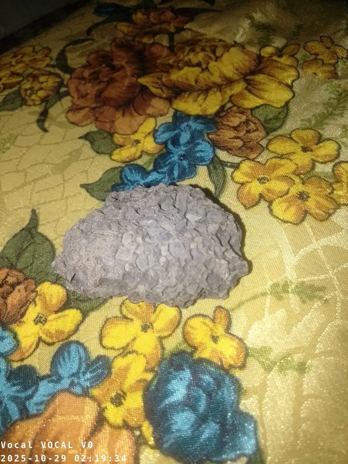 شهاب سنگ و غیره|جواهرات|مهرستان, |دیوار