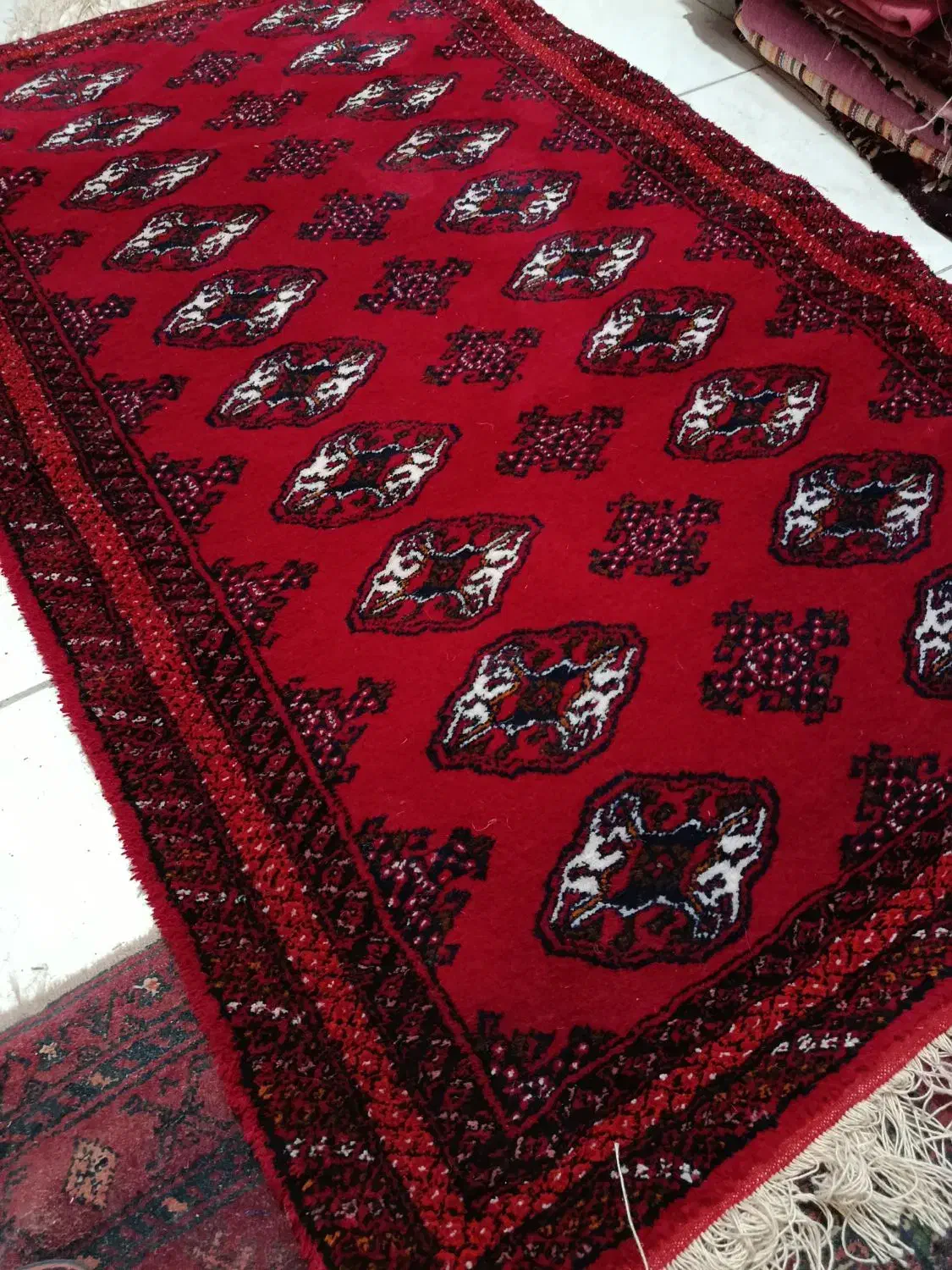 قالیچه|فرش|تربت جام, مسکن مهر|دیوار