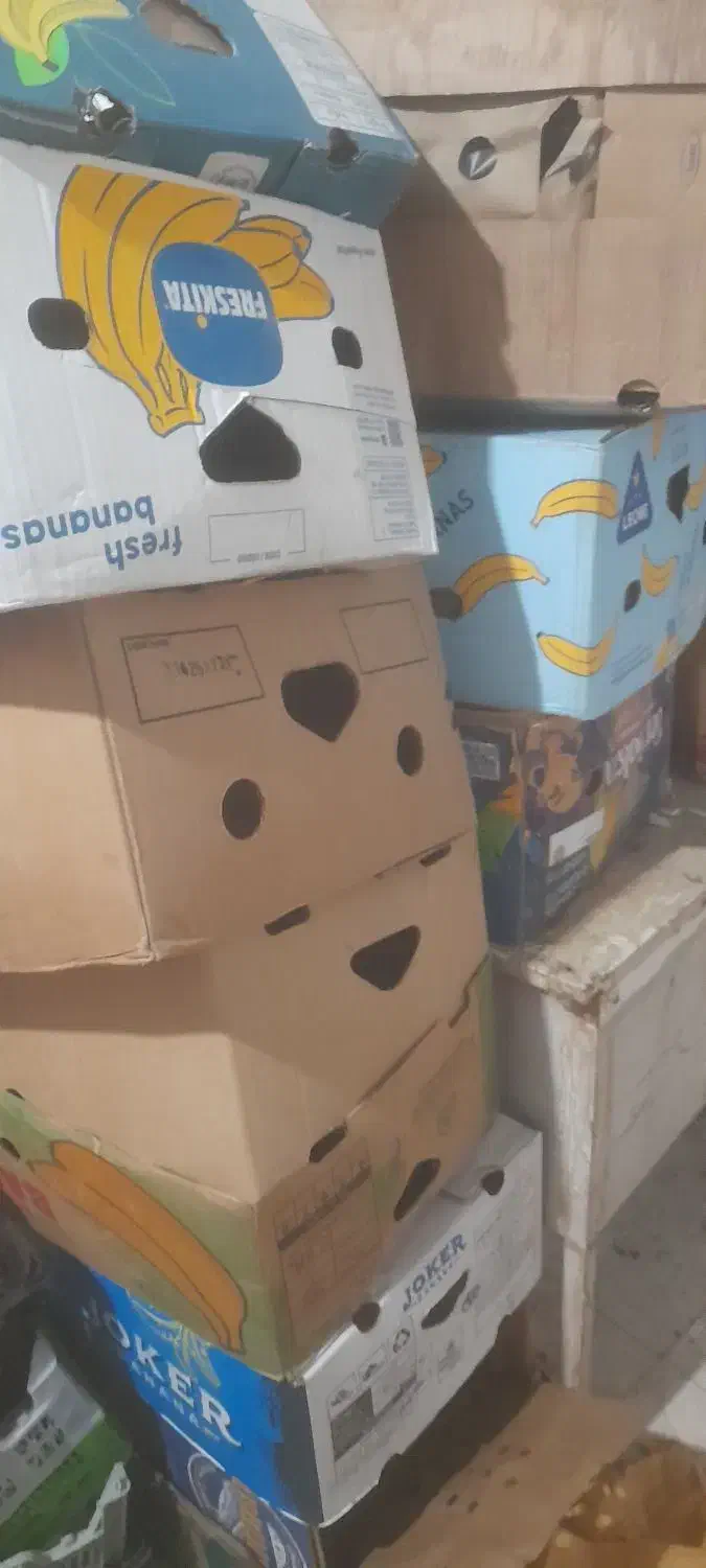 کارتن موزی درجه|حراج|جیرفت, |دیوار