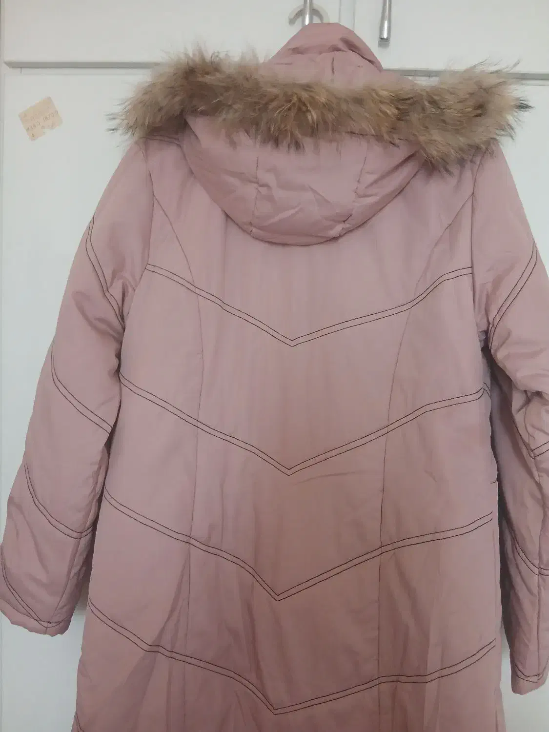 پالتوزنانه|لباس|خرمشهر, |دیوار