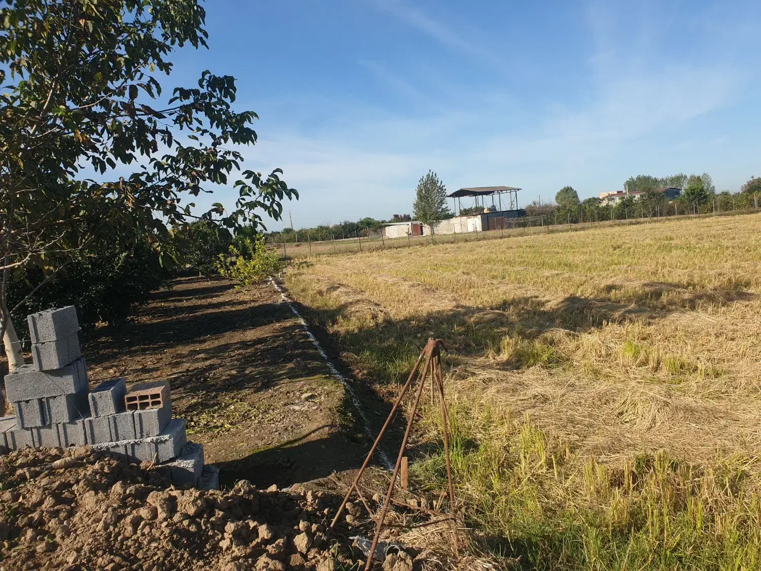 فروش زمین با مجوز گلخانه|فروش زمین و ملک کلنگی|ساری, |دیوار