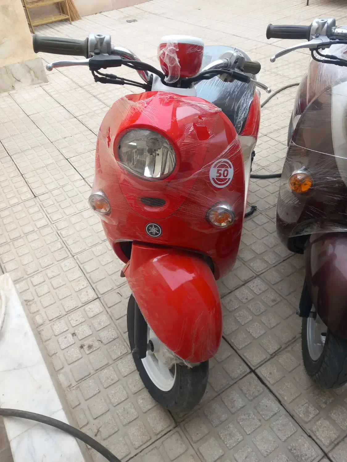 پاکشتی یاماها وینو کوار|موتورسیکلت|شیراز, دودمان|دیوار