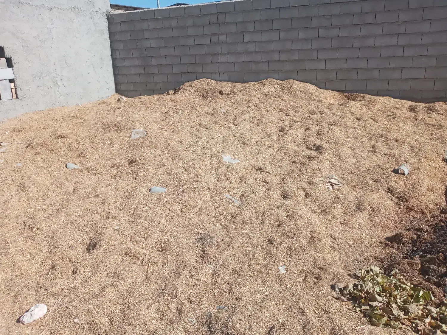 کاه سفید باران خورده برای پارسال|لوازم جانبی حیوانات|اقلید, |دیوار