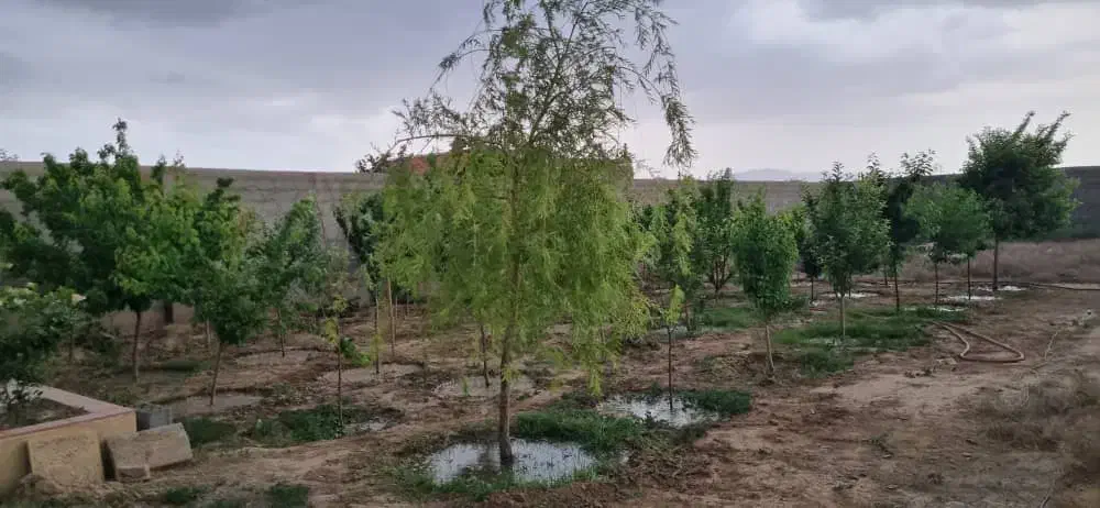 ۱۰۰۰ متر باغ ویلایی گنبدواز|فروش خانه و ویلا|مشهد, گنبدواز|دیوار