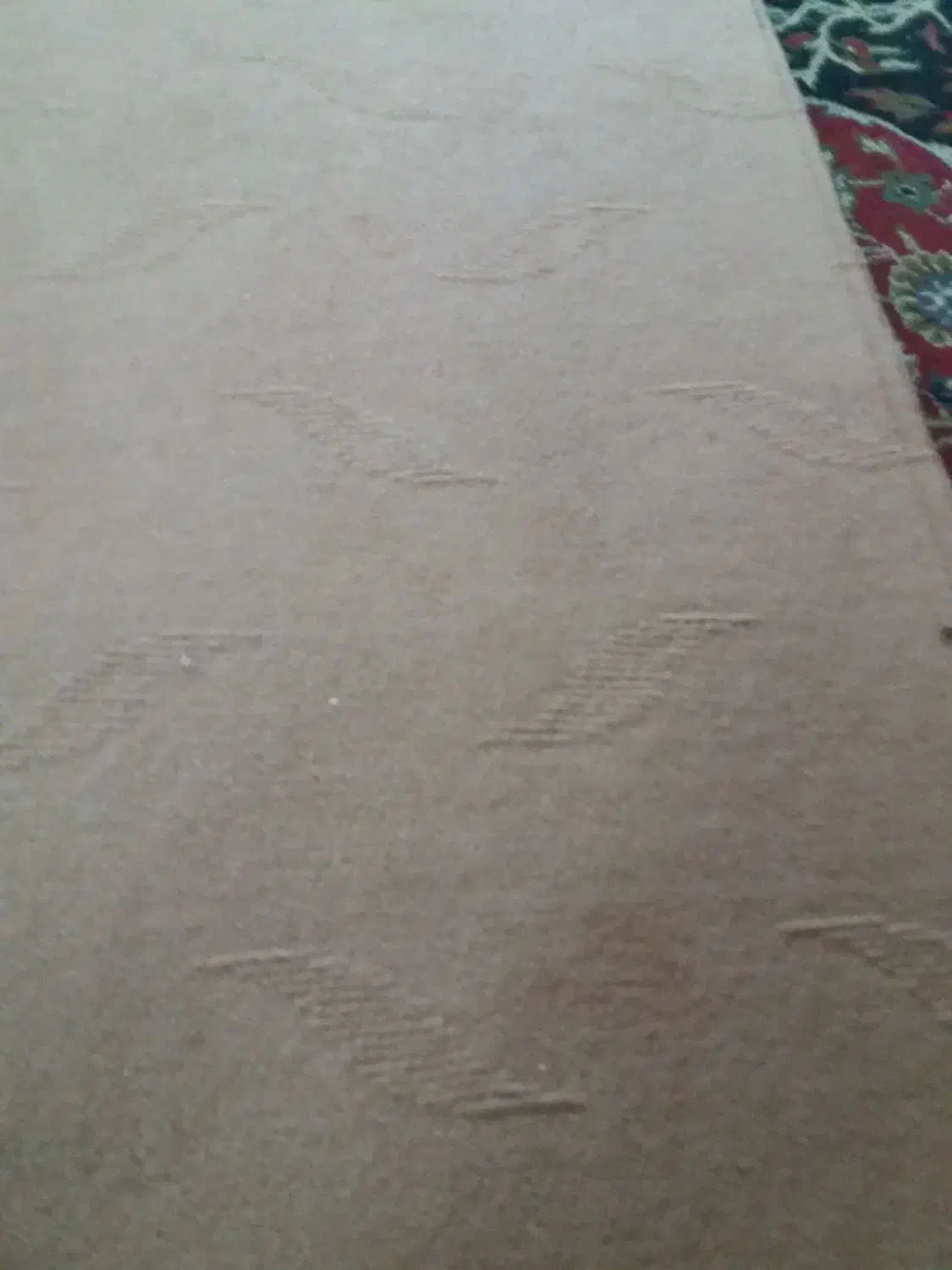 موکت|موکت|طرقبه, |دیوار