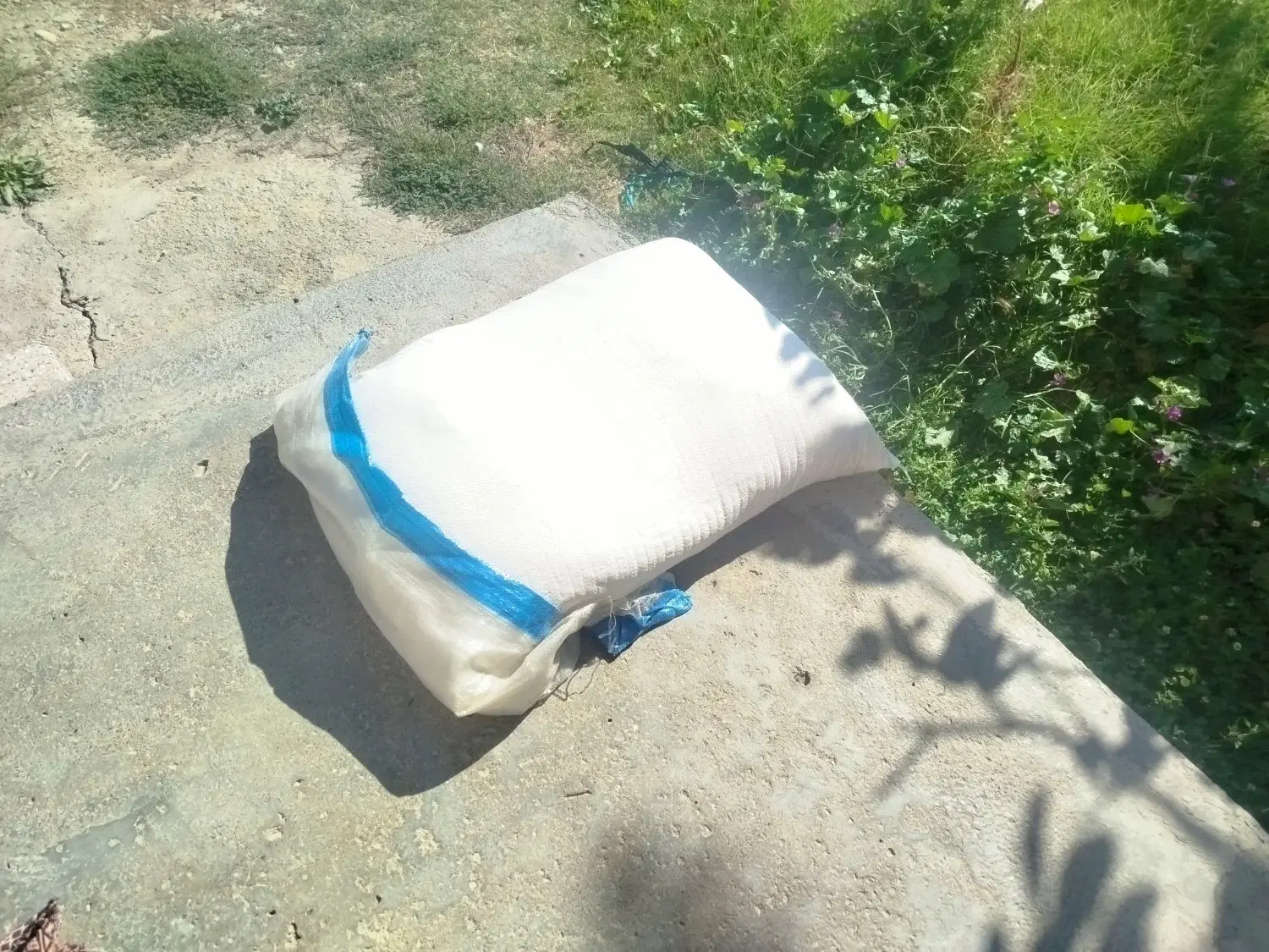 آرد|حراج|چناران, |دیوار