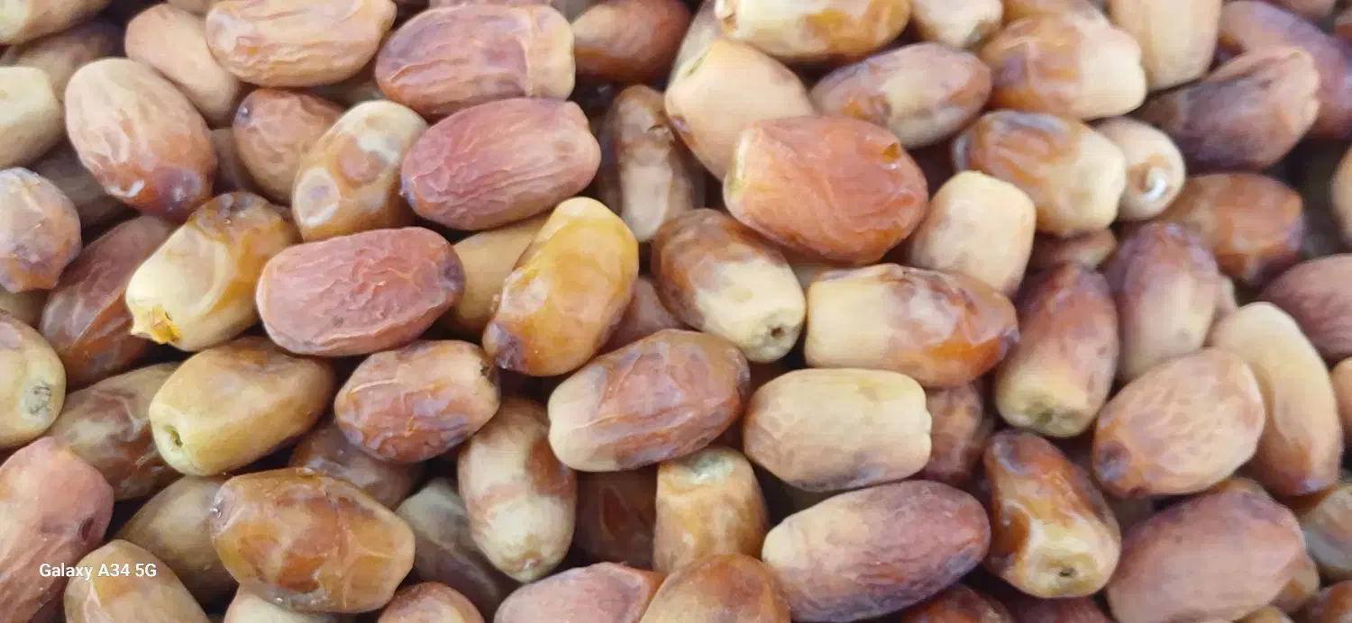 خرمازاهدی|خوردنی و آشامیدنی|شیبکوه (فارس), |دیوار