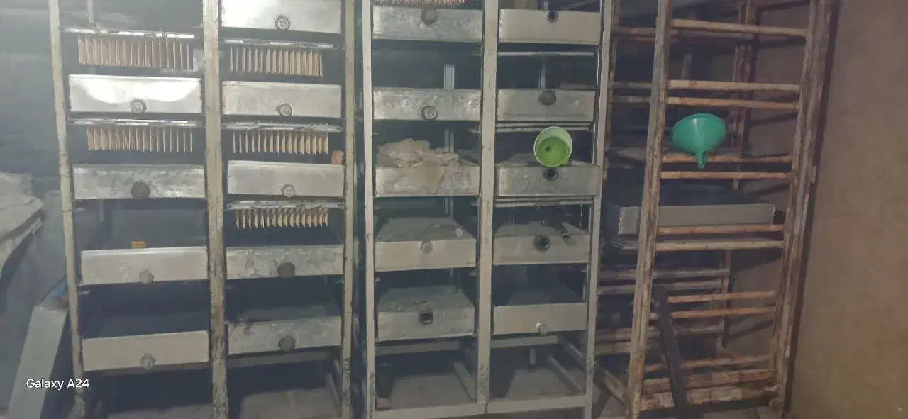 نبات|فروشگاه و مغازه|بردسکن, |دیوار