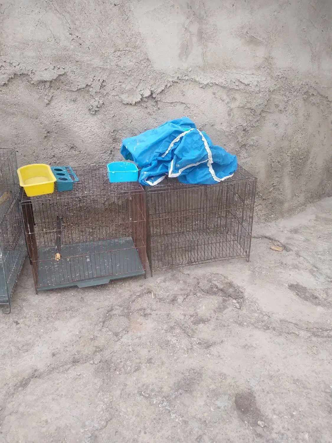 قفس پرنده|لوازم جانبی حیوانات|ساوه, |دیوار