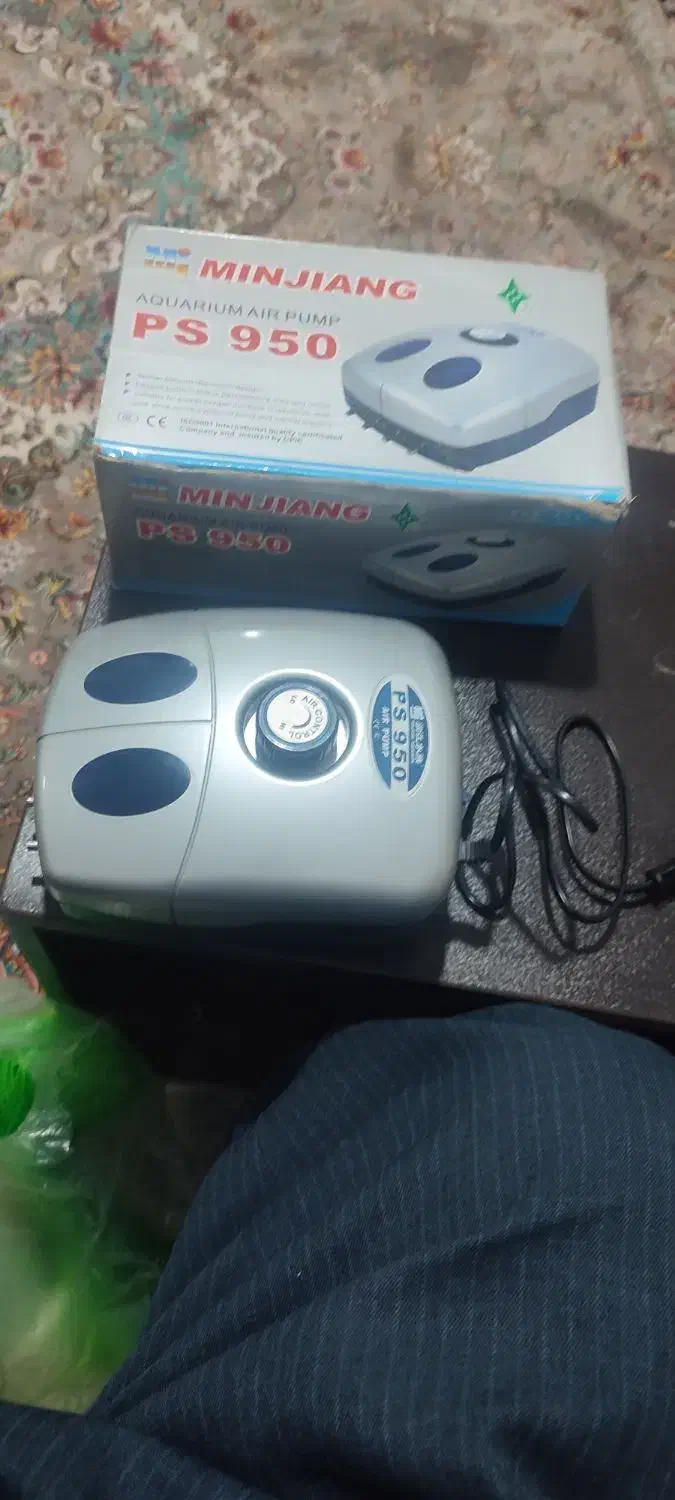 لوازم آکواریوم|ماهی|مهاباد (آذربایجان غربی), |دیوار