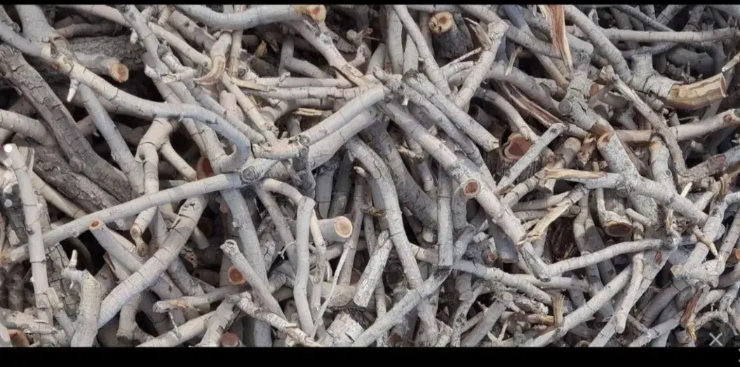 فروش هیزم درجه یک|خدمات باغبانی و درختکاری|ماهان, |دیوار