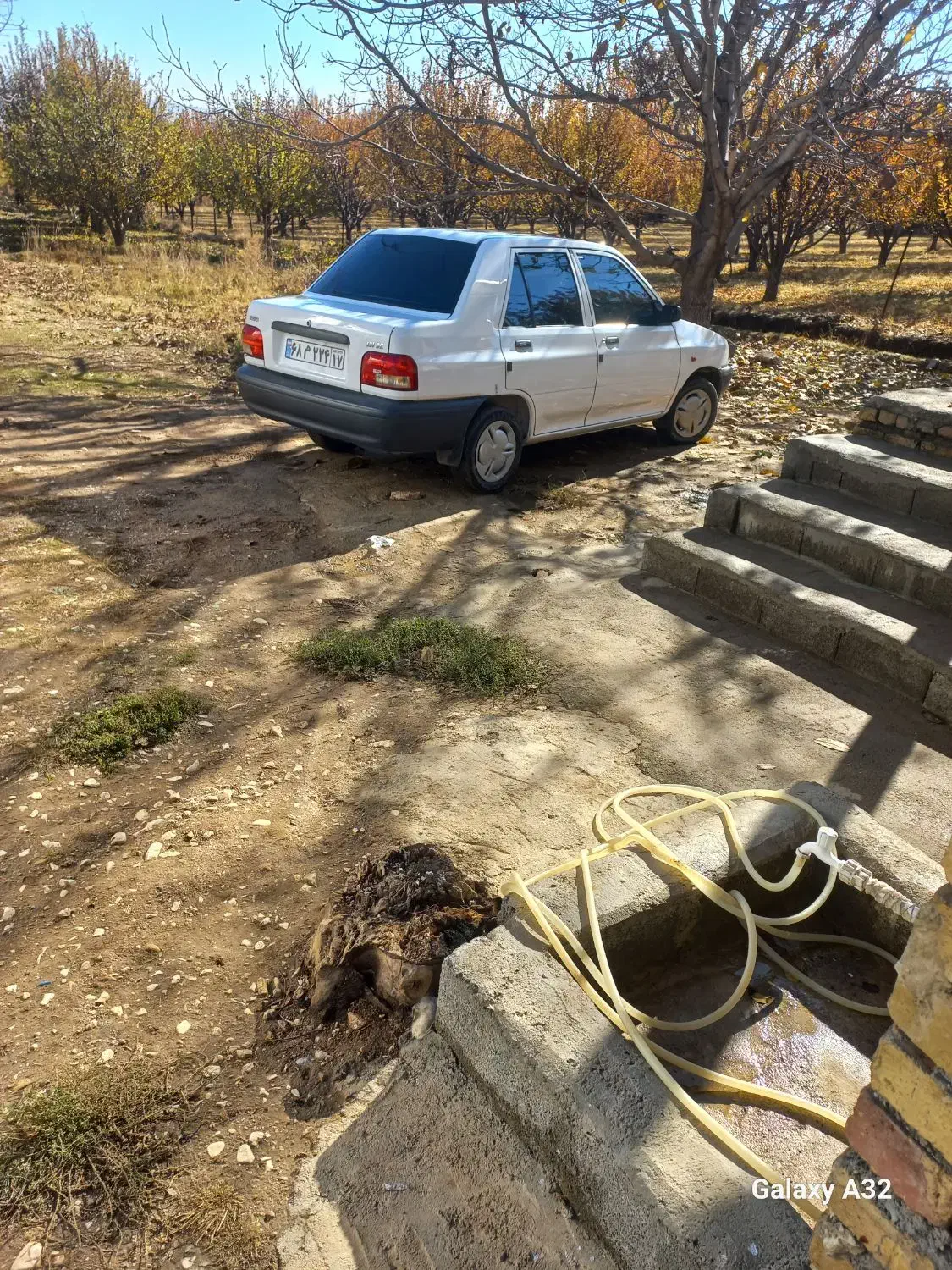 آگهی شود|خودرو سواری و وانت|سیلوانه, |دیوار