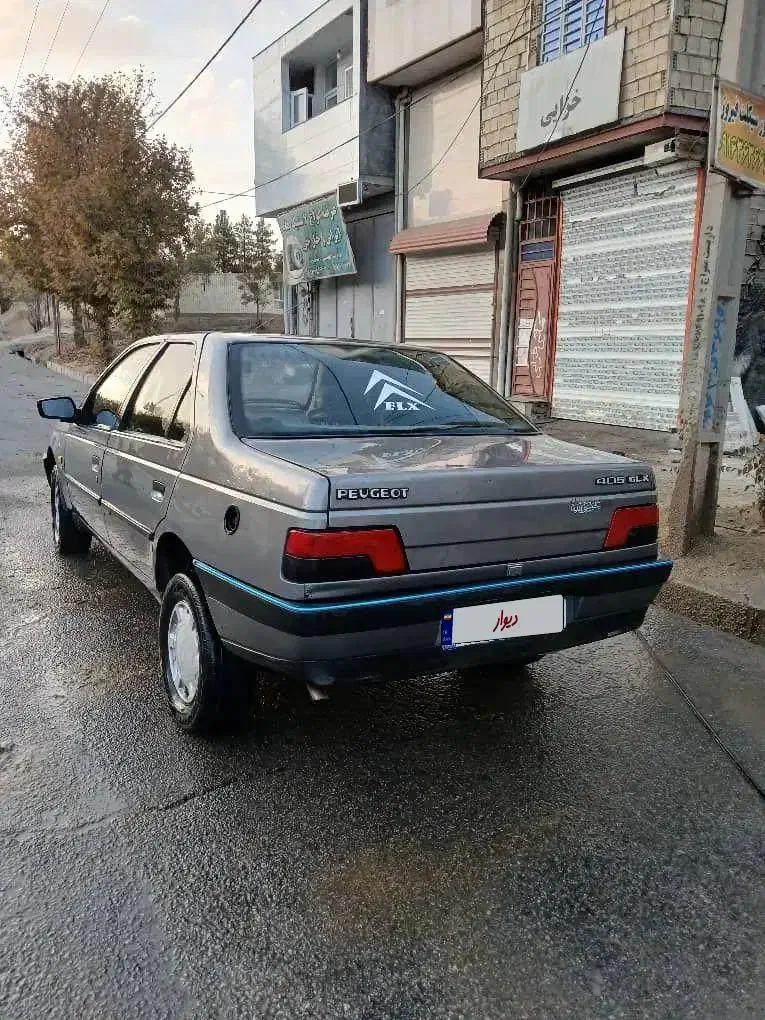 ۴۰۵ مدل ۹۱ دوگانه شرکت|خودرو سواری و وانت|چگنی, |دیوار