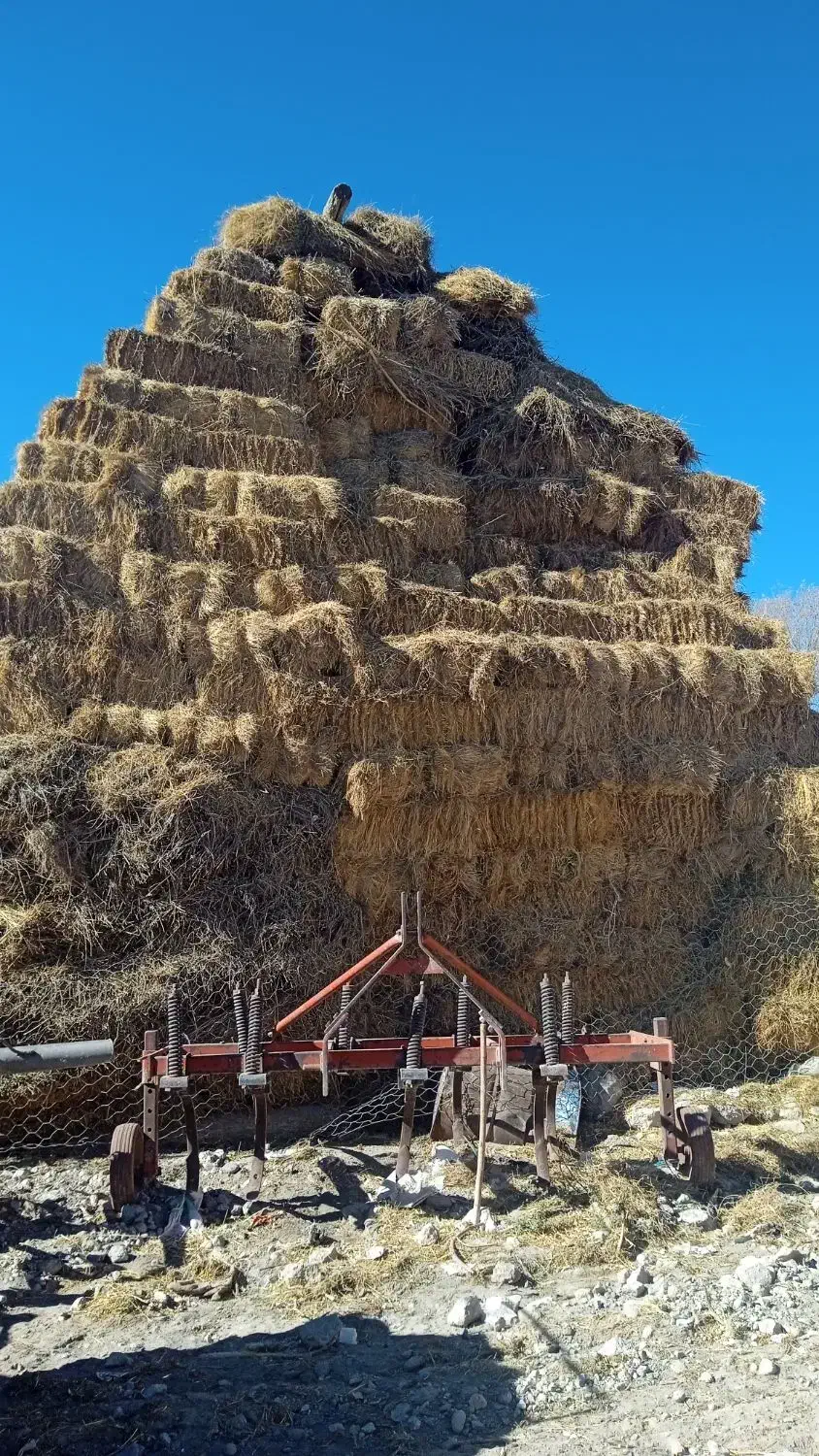 علوفه|لوازم جانبی حیوانات|نیر (اردبیل), |دیوار