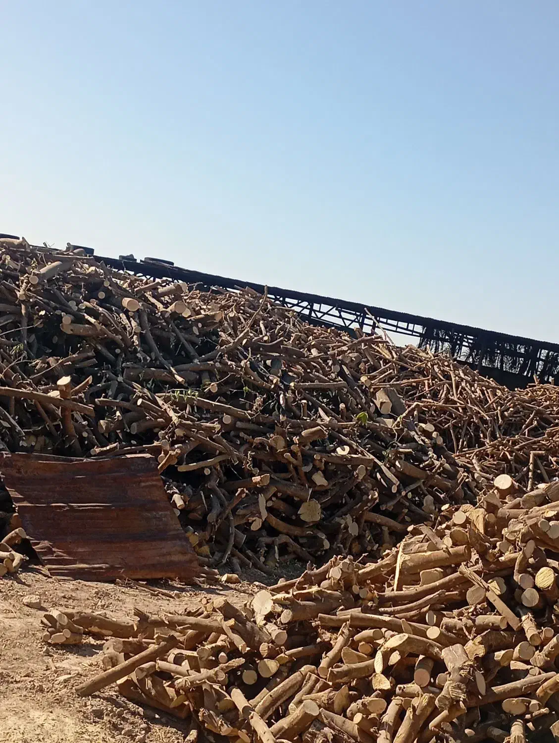 خریدار انواع چوب|خدمات باغبانی و درختکاری|نورآباد ممسنی, |دیوار